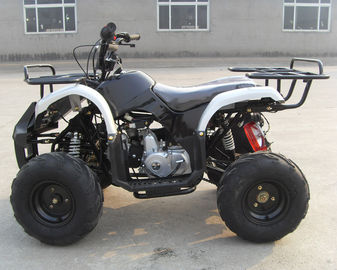 GENIAL MOTO 4 RUEDAS CUADRIMOTO ATV 125 CC PARA ADULTO